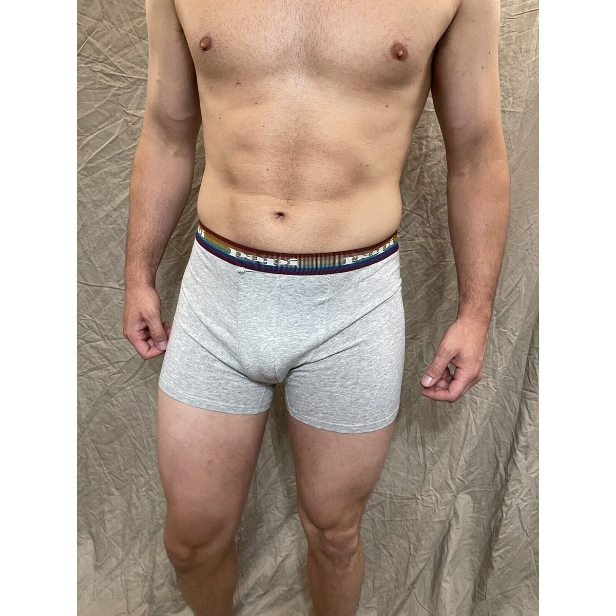 men's papi rainbow pride gray compression boxer briefs Extra large