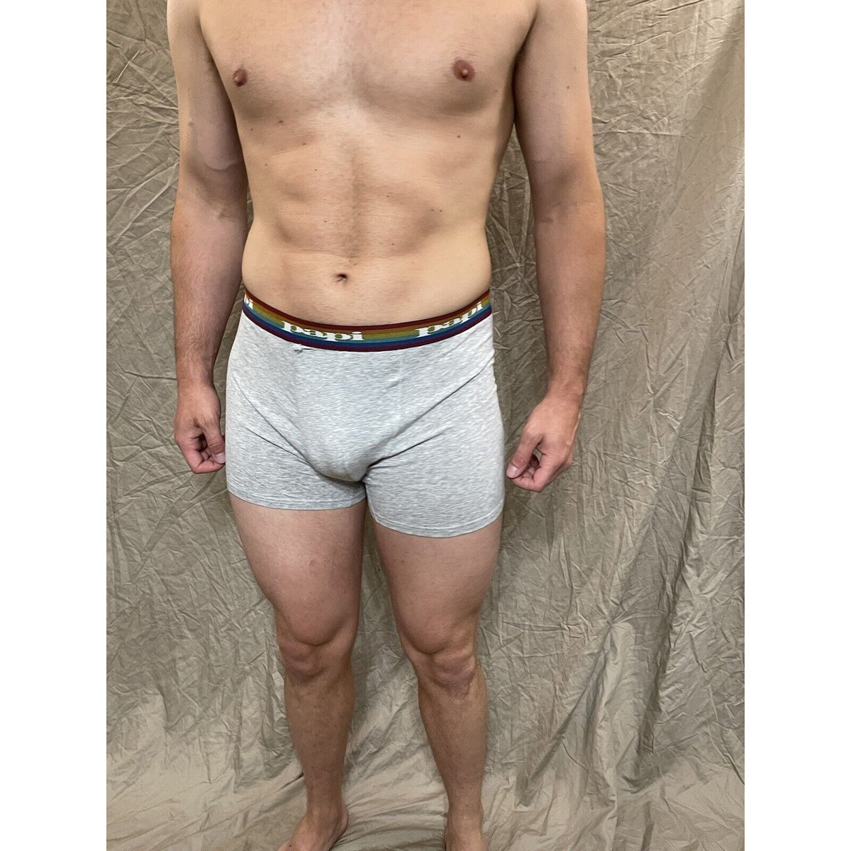 men's papi rainbow pride gray compression boxer briefs Extra large