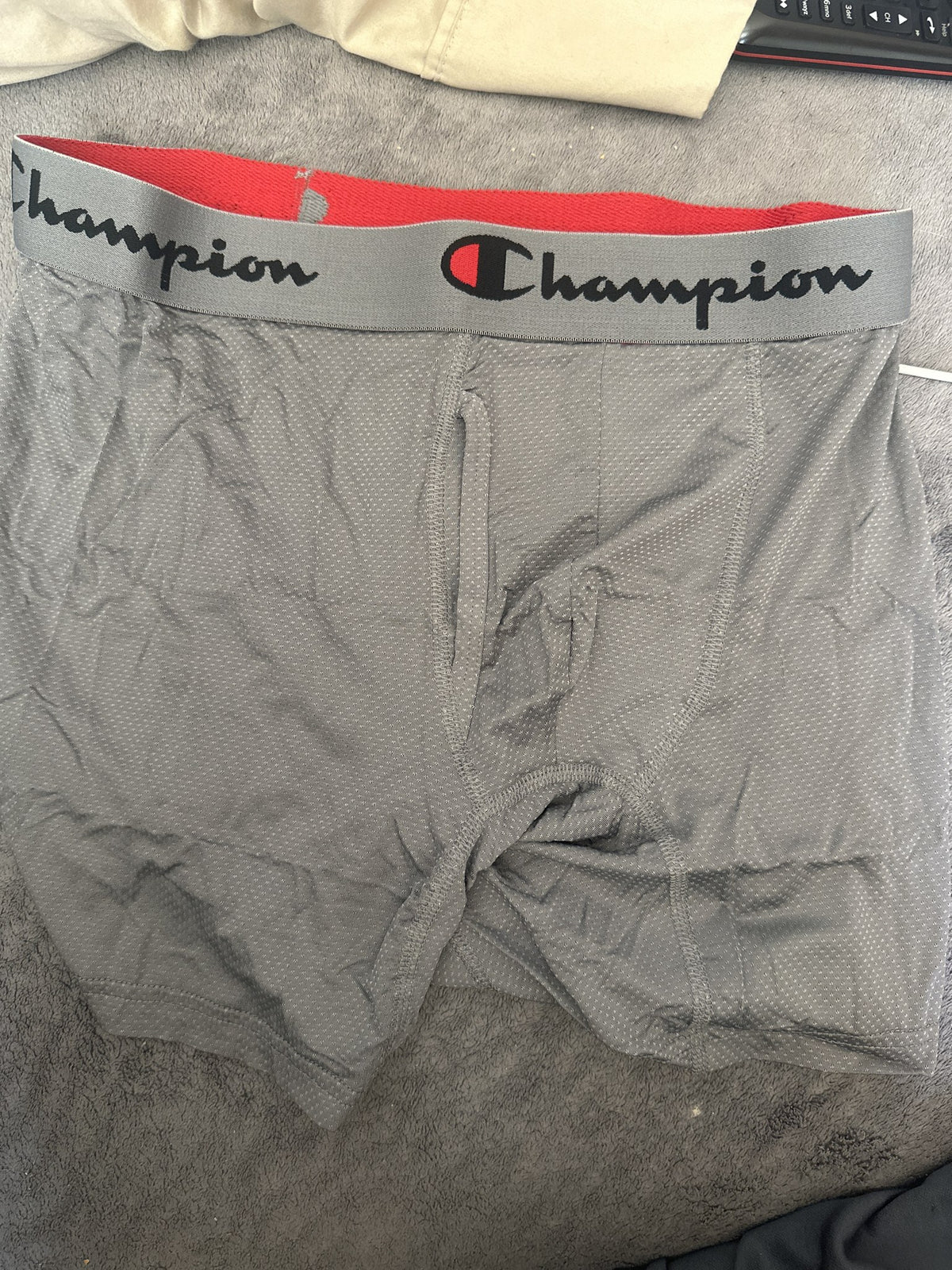 Champion gray mesh boxer briefs - actual item photo