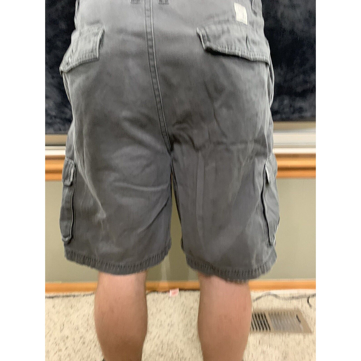 Quick Silver  Men's Size 34 Gray Rugged Cargo Shorts